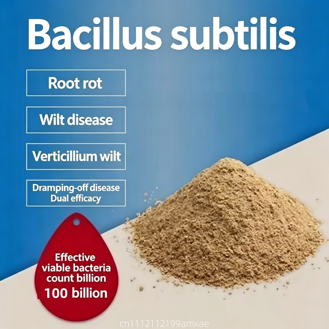 Aquarium Plant Root Fertilizer - Hochwirksames Bacillus Subtilis Pulver Organischer Probiotischer