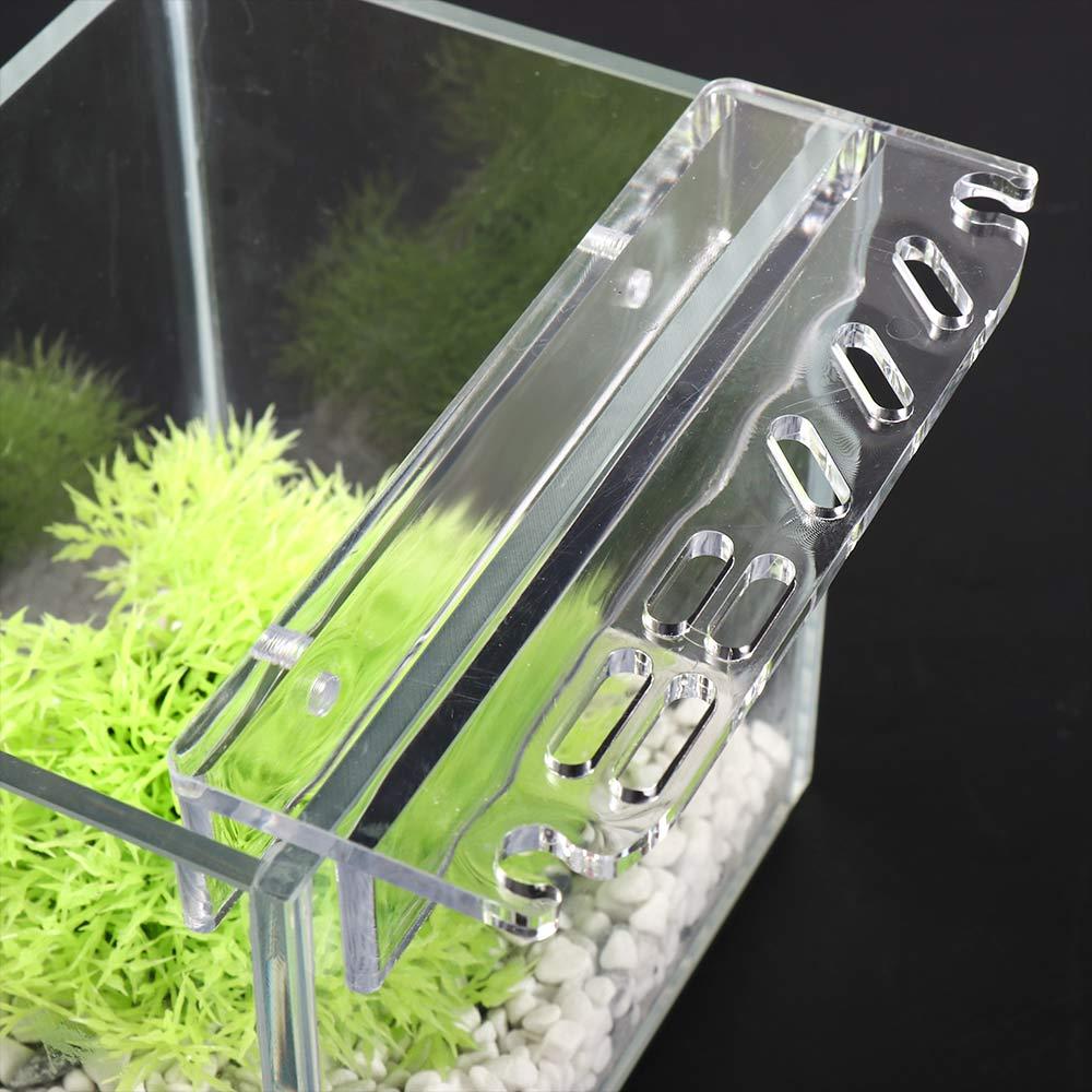 Planted Aquarium Maintenance - Reinigungswerkzeug-Zubehör Aufbewahrungsregal Aquarium-Werkzeughalter Aquarium-Pflanzenwerkzeughalter Graspflege-Werkzeug