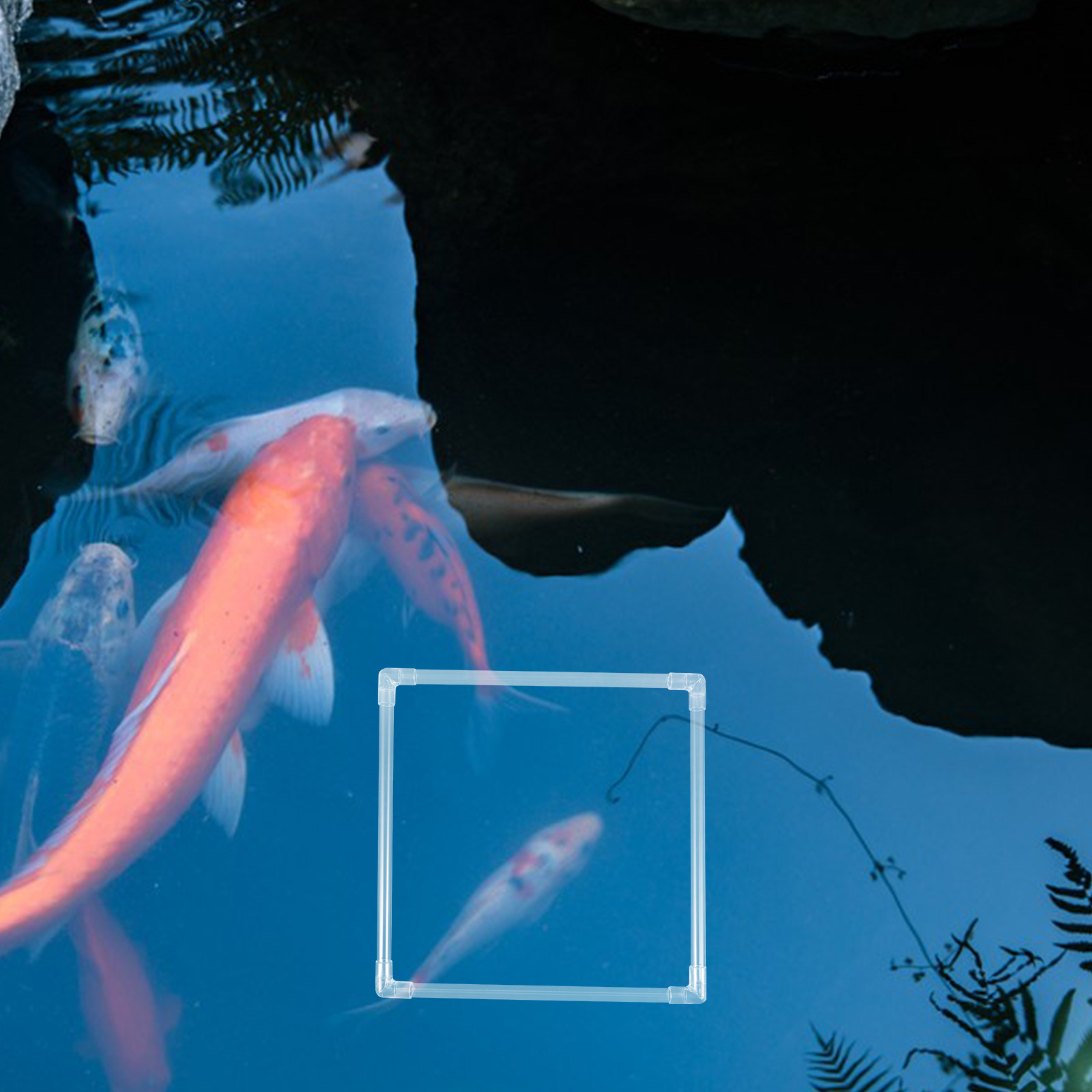 Planted Aquarium Materials - 1 Set Aquarium-Schwimmring zur Wasserpflanzenkontrolle, Entenminze-Isolationsring,