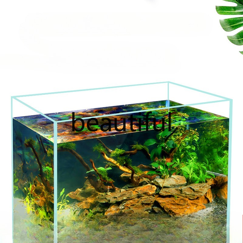 Jinjing ultraweißes Glas Aquar – Planted Aquarium Materials Bewertung und Preis