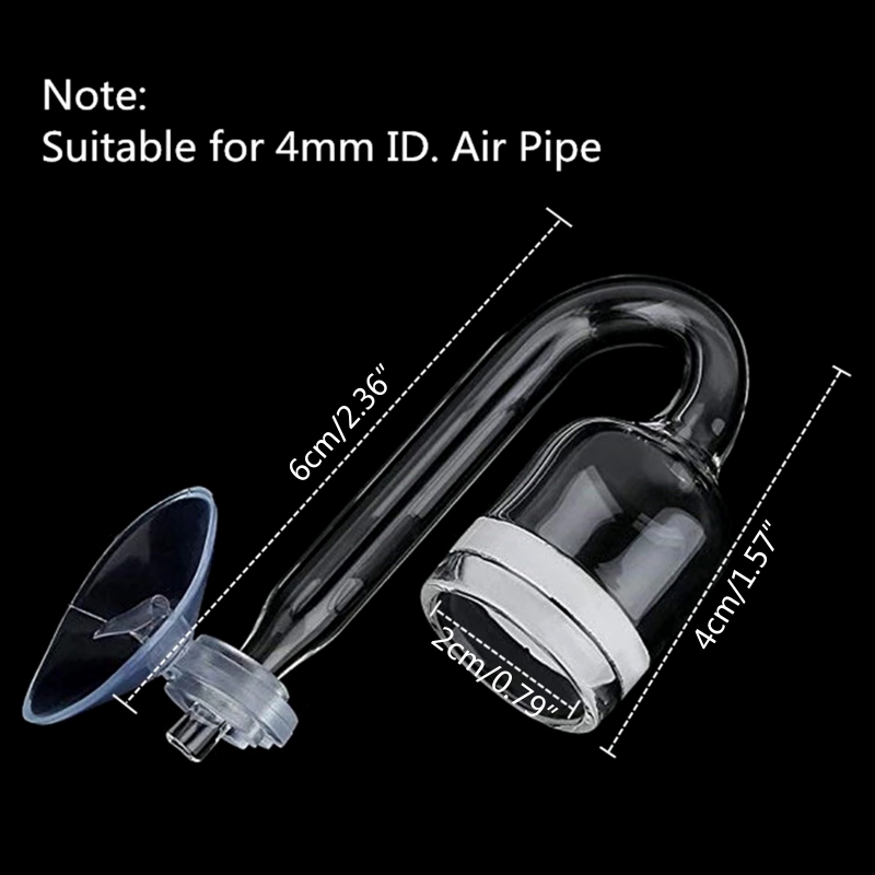 4 stücke Set DIY CO2-Diffusor  – Aquarium Plant Echinodorus Bewertung und Preis