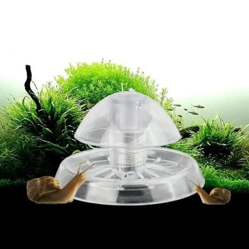 2026 Neu 6/8CM Klare Plastik-S – Planted Aquarium With Fish Bewertung und Preis