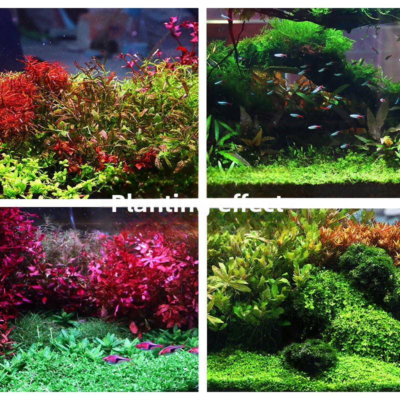 SYSENCIAGA Planted Aquarium Su – Aquarium Planted Tank Fertilizer Bewertung und Preis