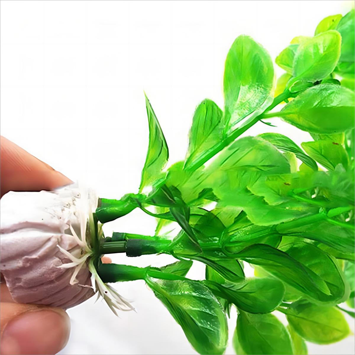 Aquarium Dekorationen künstlic – Planted Aquarium Materials Bewertung und Preis