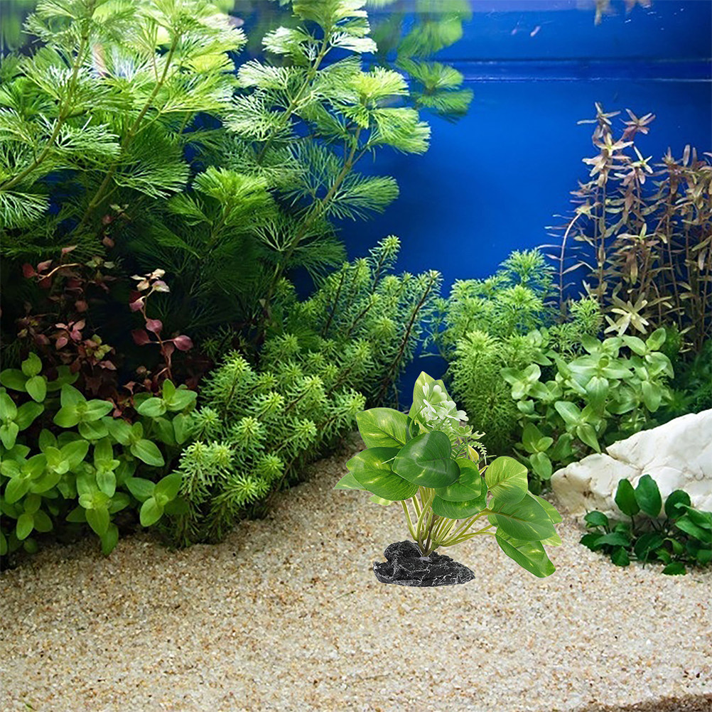2 Stück Wasserpflanzen-Bonsai, – Planted Aquarium Maintenance Bewertung und Preis
