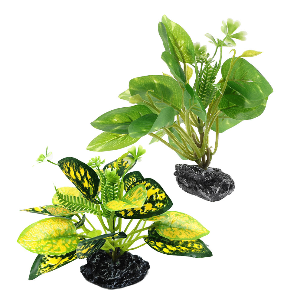 2 Stück Wasserpflanzen-Bonsai, – Planted Aquarium Maintenance Bewertung und Preis