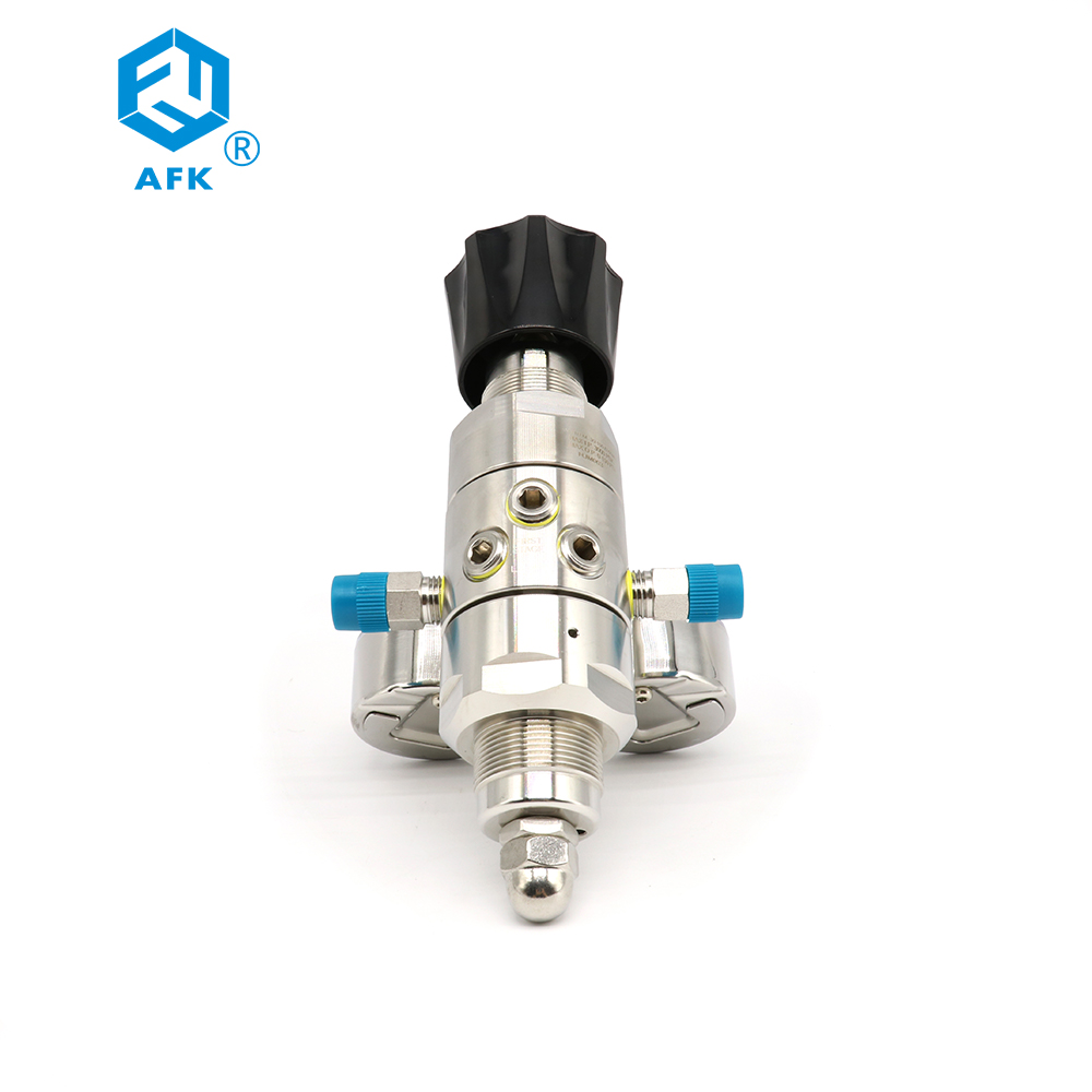 Zweistufiger Druckregler aus E – Co2 Regulator Dual Stage Bewertung und Preis