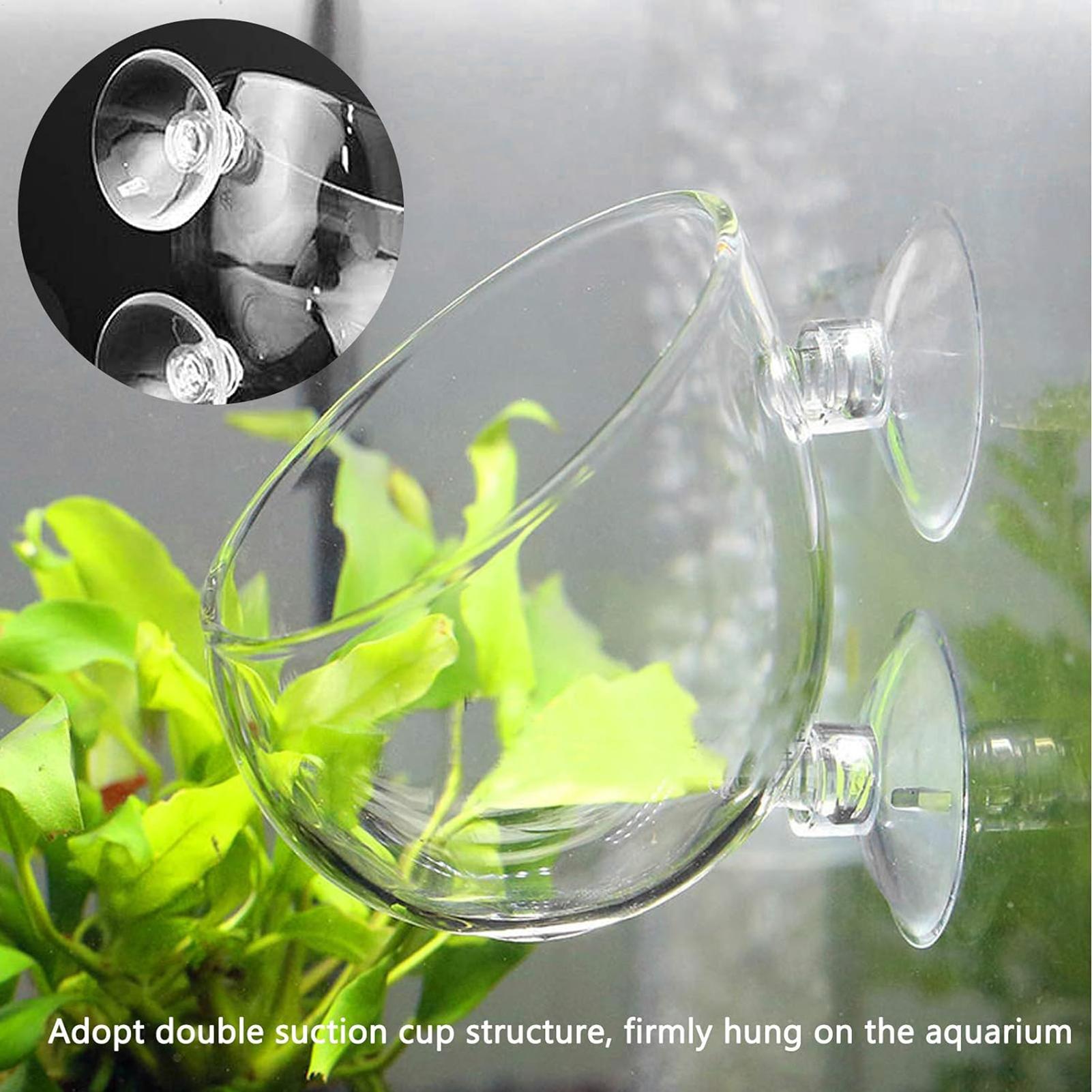 Aquarium-Glas-Pflanztopf mit S – Planted Aquarium Maintenance Bewertung und Preis