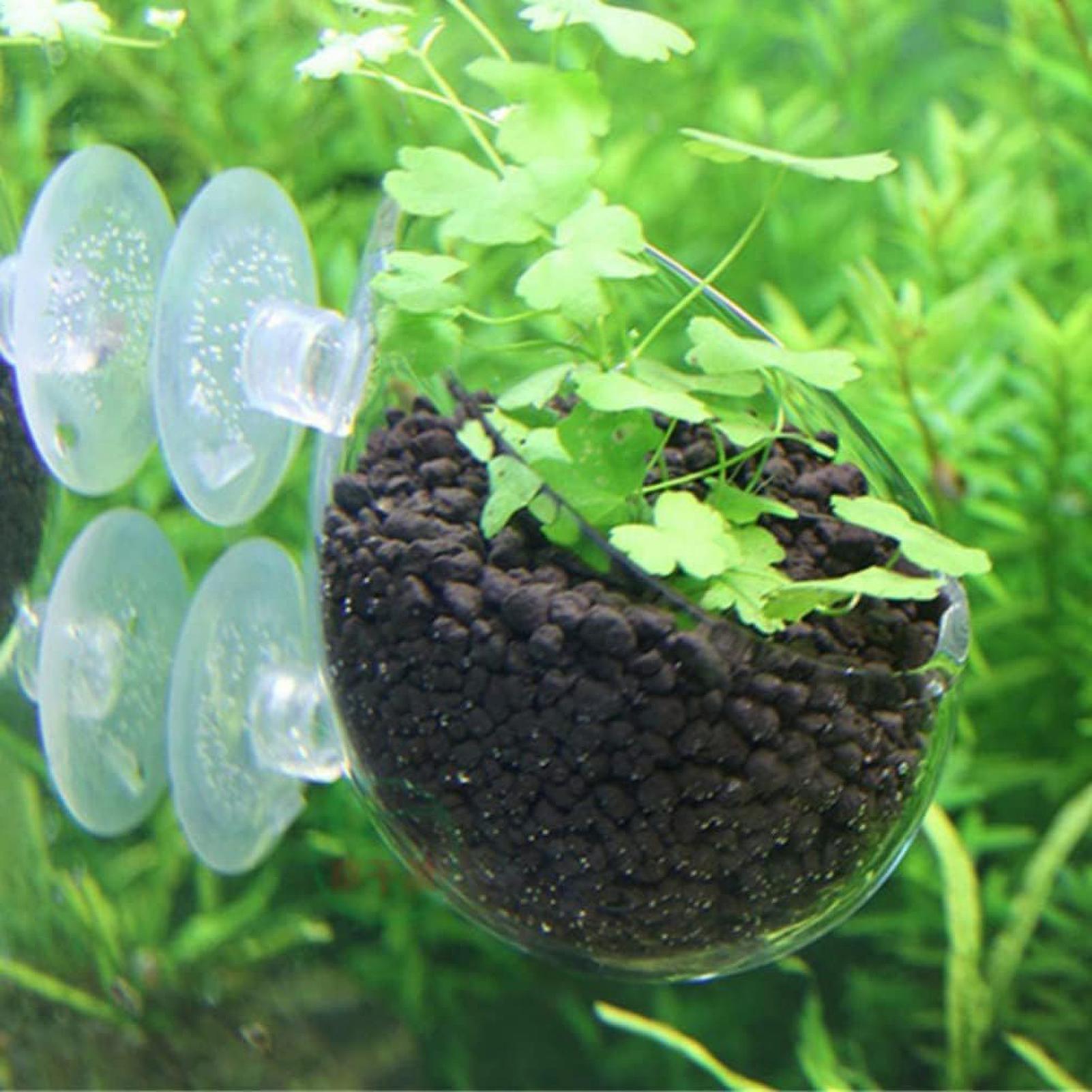 Aquarium-Glas-Pflanztopf mit S – Planted Aquarium Maintenance Bewertung und Preis