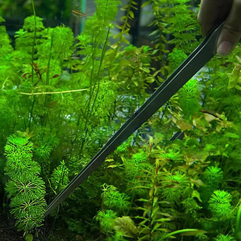 Universal 27cm Aquarium Pflanz – Planted Aquarium Maintenance Bewertung und Preis