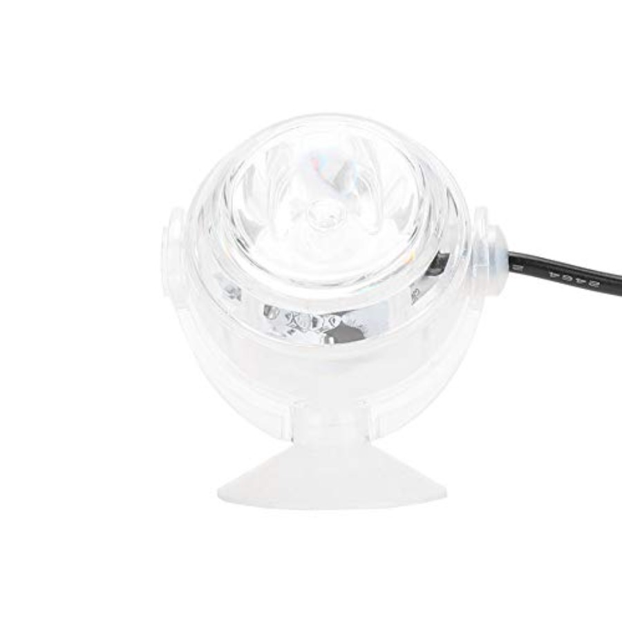 LED-Aquariumbeleuchtung für 12 – Planted Aquarium Cycling Bewertung und Preis