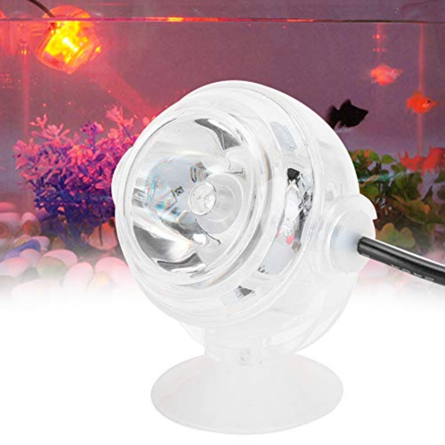 LED-Aquariumbeleuchtung für 12 – Planted Aquarium Cycling Bewertung und Preis