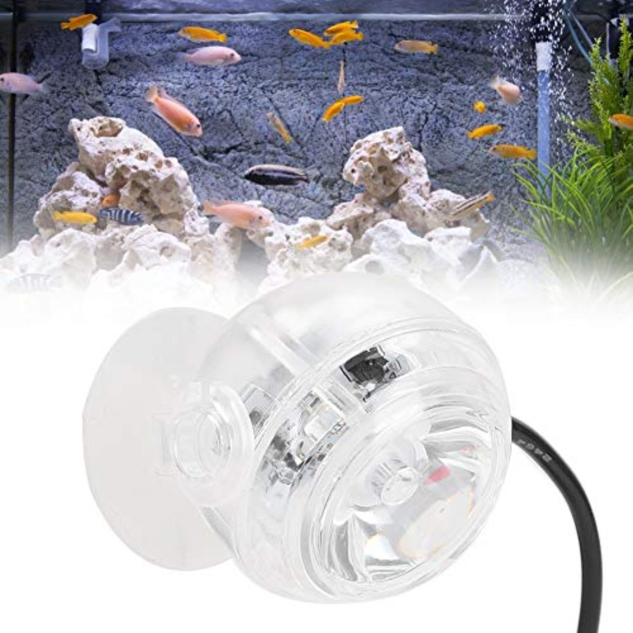 LED-Aquariumbeleuchtung für 12 – Planted Aquarium Cycling Bewertung und Preis