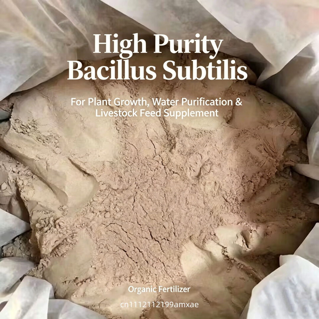 Hochwirksames Bacillus Subtili – Aquarium Plant Root Fertilizer Bewertung und Preis