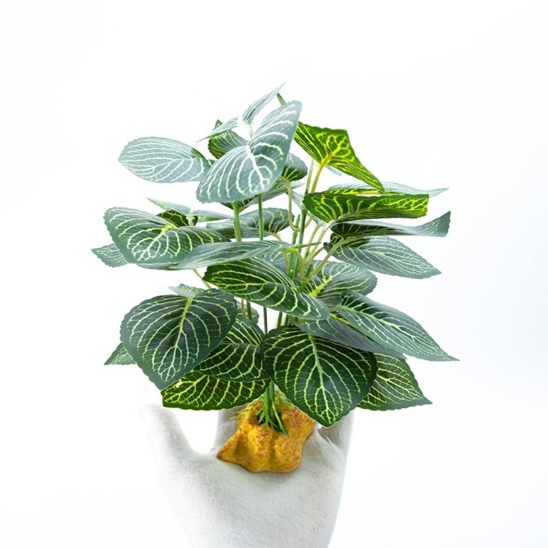 Künstliche hängende Pflanze Fi – Planted Aquarium With Fish Bewertung und Preis