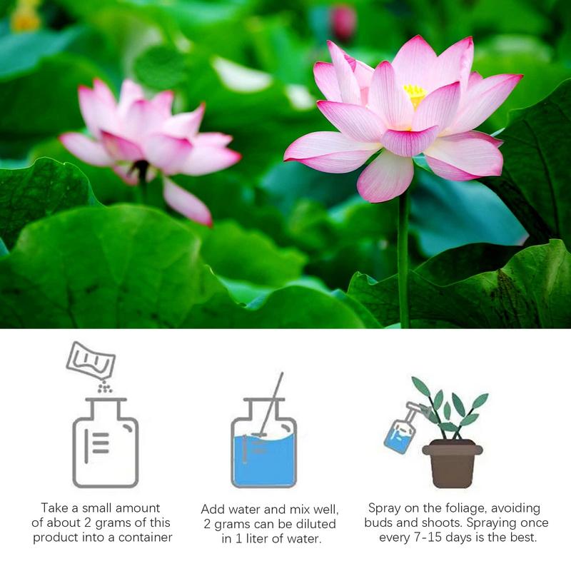 200 g natürliche Seerose, blüh – Aquarium Plant Vitamins Bewertung und Preis