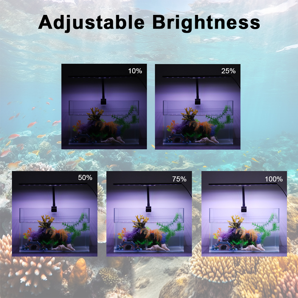 24/7 Lichtzyklus Aquarium LED- – Planted Aquarium Cycling Bewertung und Preis