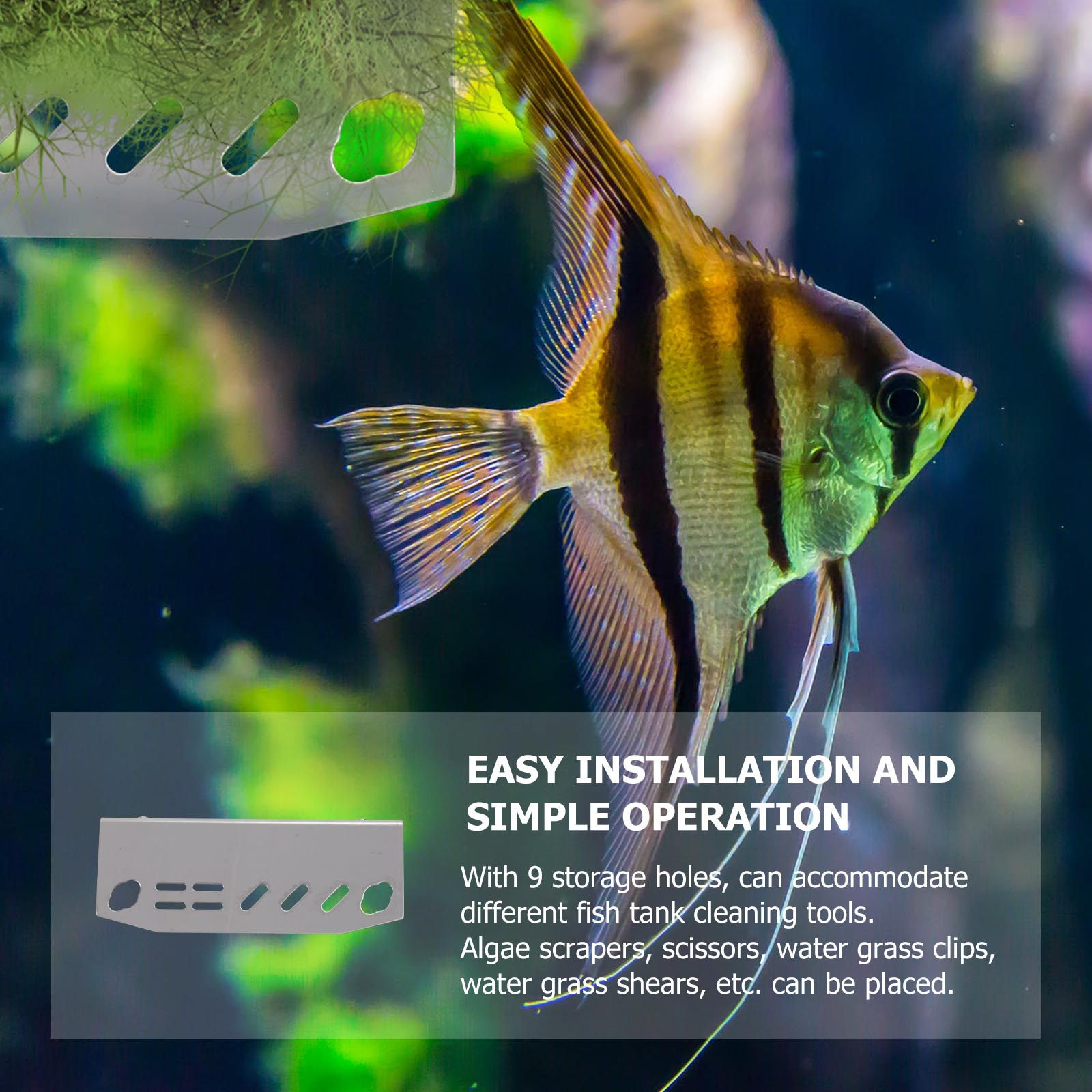 1 Stück Aquarium-Werkzeughalte – Planted Aquarium With Fish Bewertung und Preis