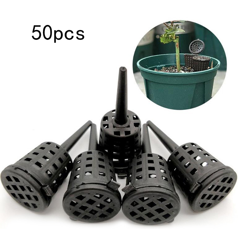 50Pcs Anlage Dünger Körbe Mit  – Aquarium Plant Root Fertilizer Bewertung und Preis