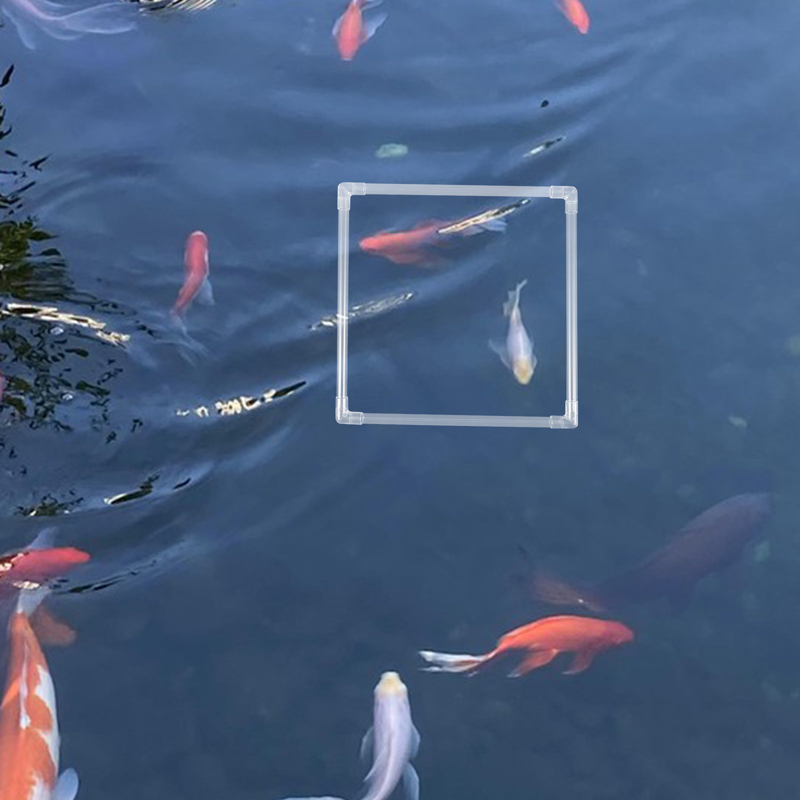 1 Set Aquarium-Schwimmring zur – Planted Aquarium Materials Bewertung und Preis