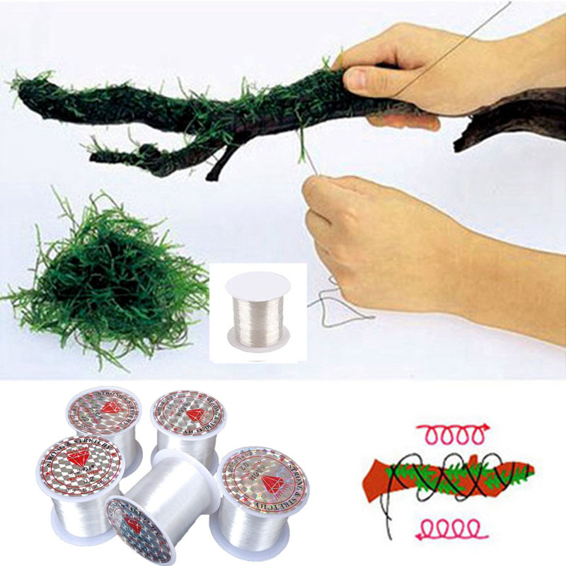 120M DIY Moos Linie Bindung Li – Aquarium Plant Echinodorus Bewertung und Preis