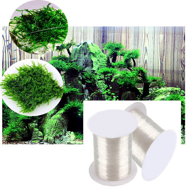 120M DIY Moos Linie Bindung Li – Aquarium Plant Echinodorus Bewertung und Preis