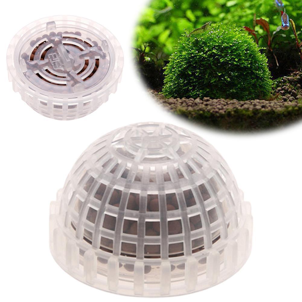 1pc Aquatische Haustier Liefer – Aquarium Plant Echinodorus Bewertung und Preis