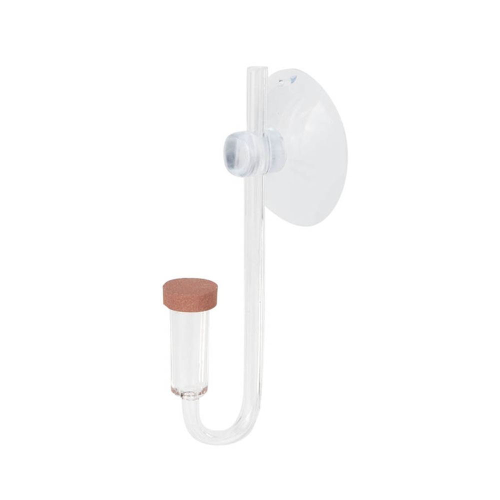 Acryl Mini Aquarium Live Pflan – Planted Aquarium Maintenance Bewertung und Preis