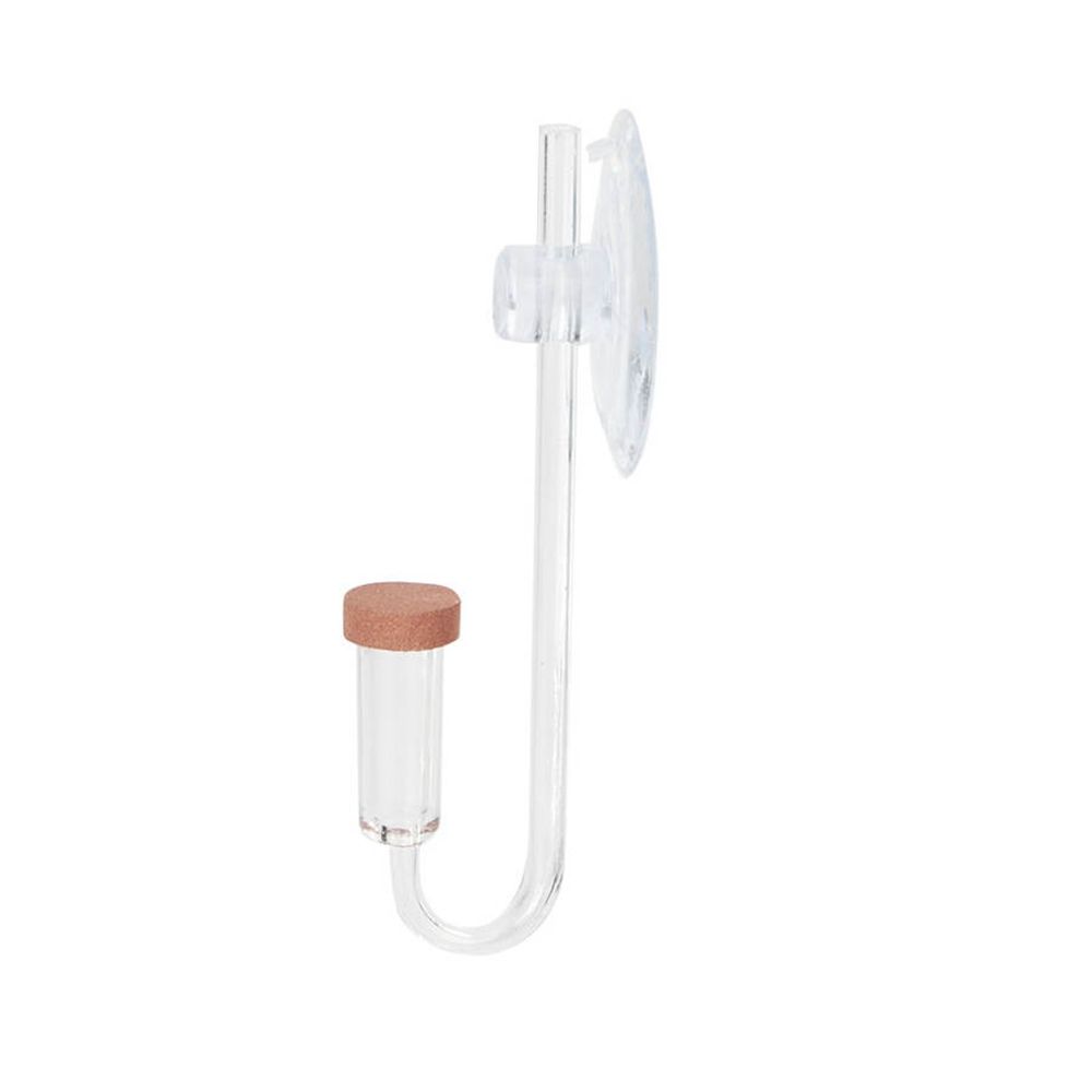 Acryl Mini Aquarium Live Pflan – Planted Aquarium Maintenance Bewertung und Preis