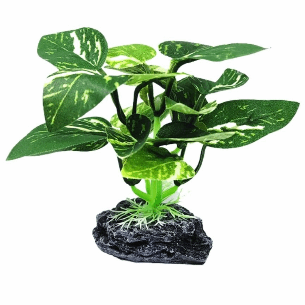 Kunststoffmaterial, Aquarienpf – Planted Aquarium Materials Bewertung und Preis