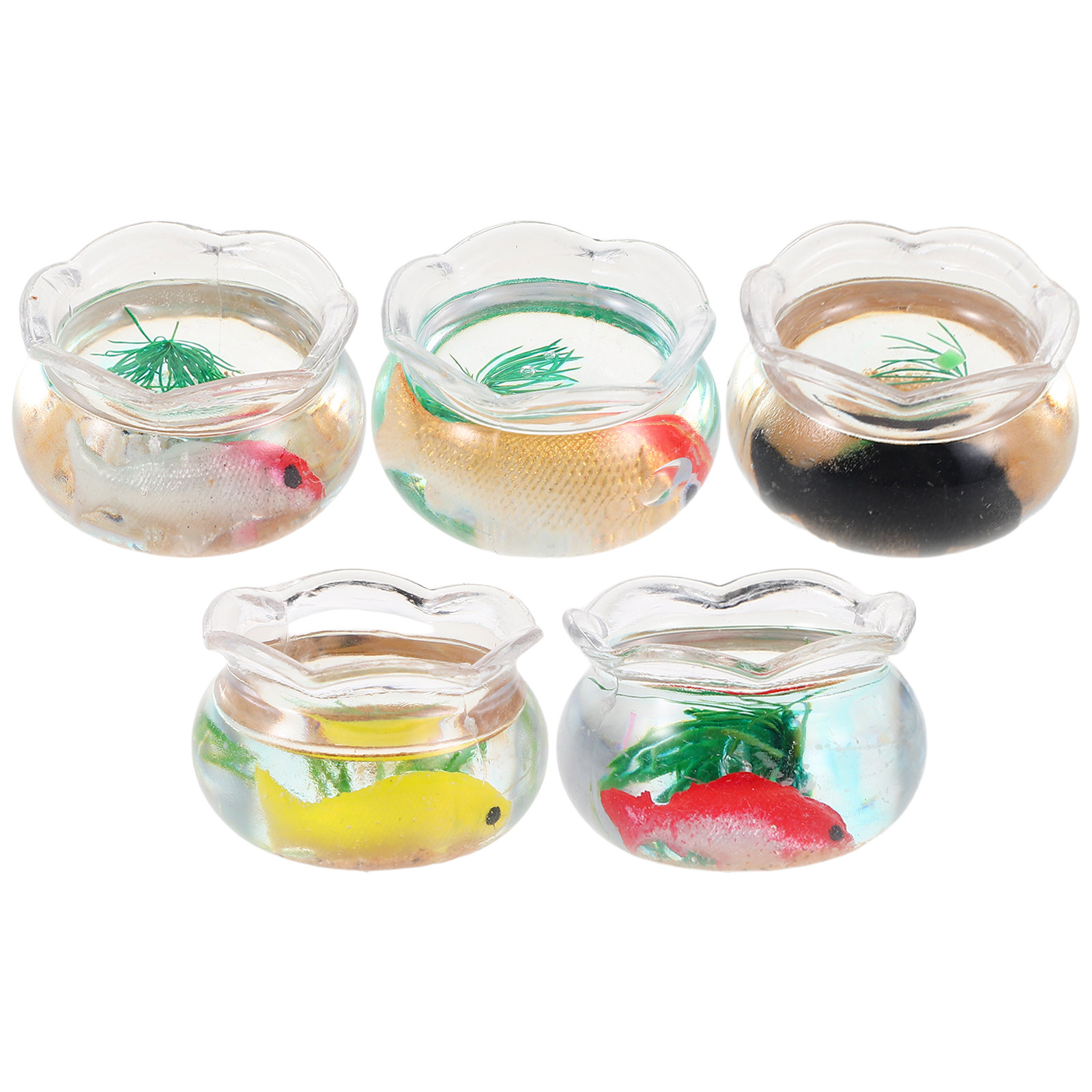 5 Stück Mini-Fischbecken, Klei – Planted Aquarium With Fish Bewertung und Preis
